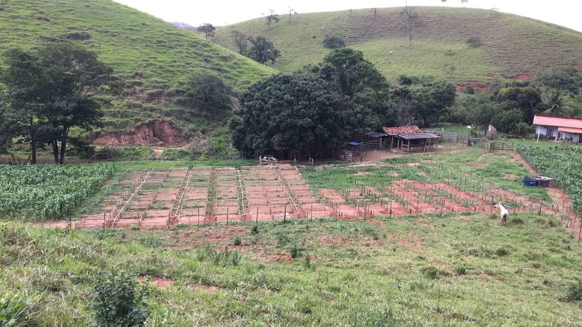 A área dos tanques do Guppyrium em obra, no pé do morro, em Córrego Novo (MG)